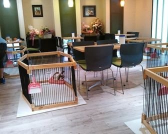 В Японии открылись кафе с кроликами