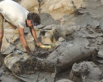 Ученые обнаружили древний винный погреб