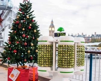 Аккумулятор из брюссельской капусты