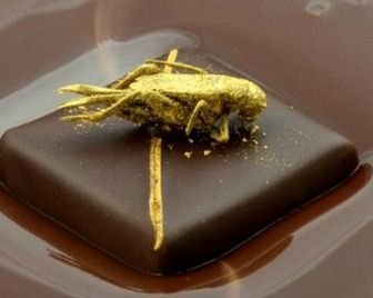 Шоколад с насекомыми