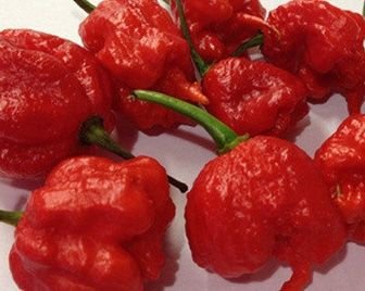 Самый острый перец в мире