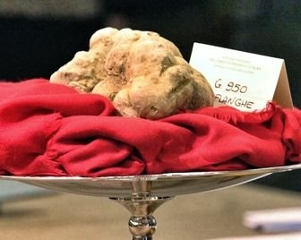 Неизвестный человек подарил мэру Нью-Йорка трюфель за 8000$