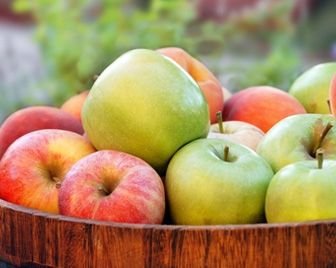 Яблоки снижают уровень холестерина в крови