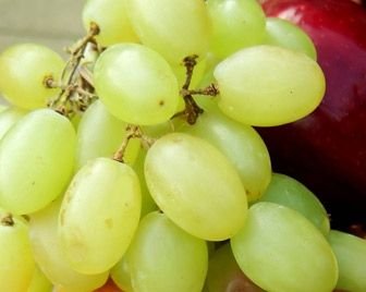 Фрукты и овощи помогут защитить будущего ребенка