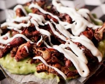 Бургеры с кузнечиками