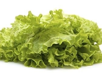 Листовой салат был афродизиаком в Древнем Египте