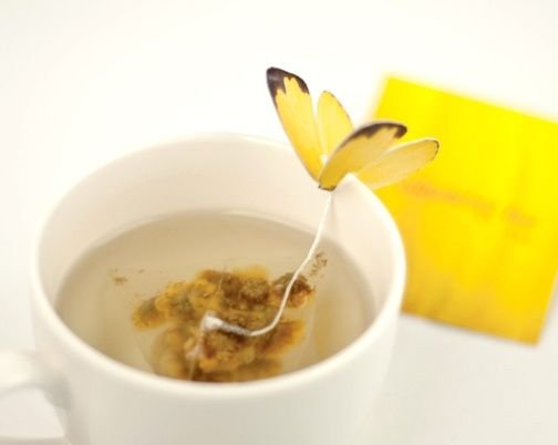 Чаепитие с бабочками